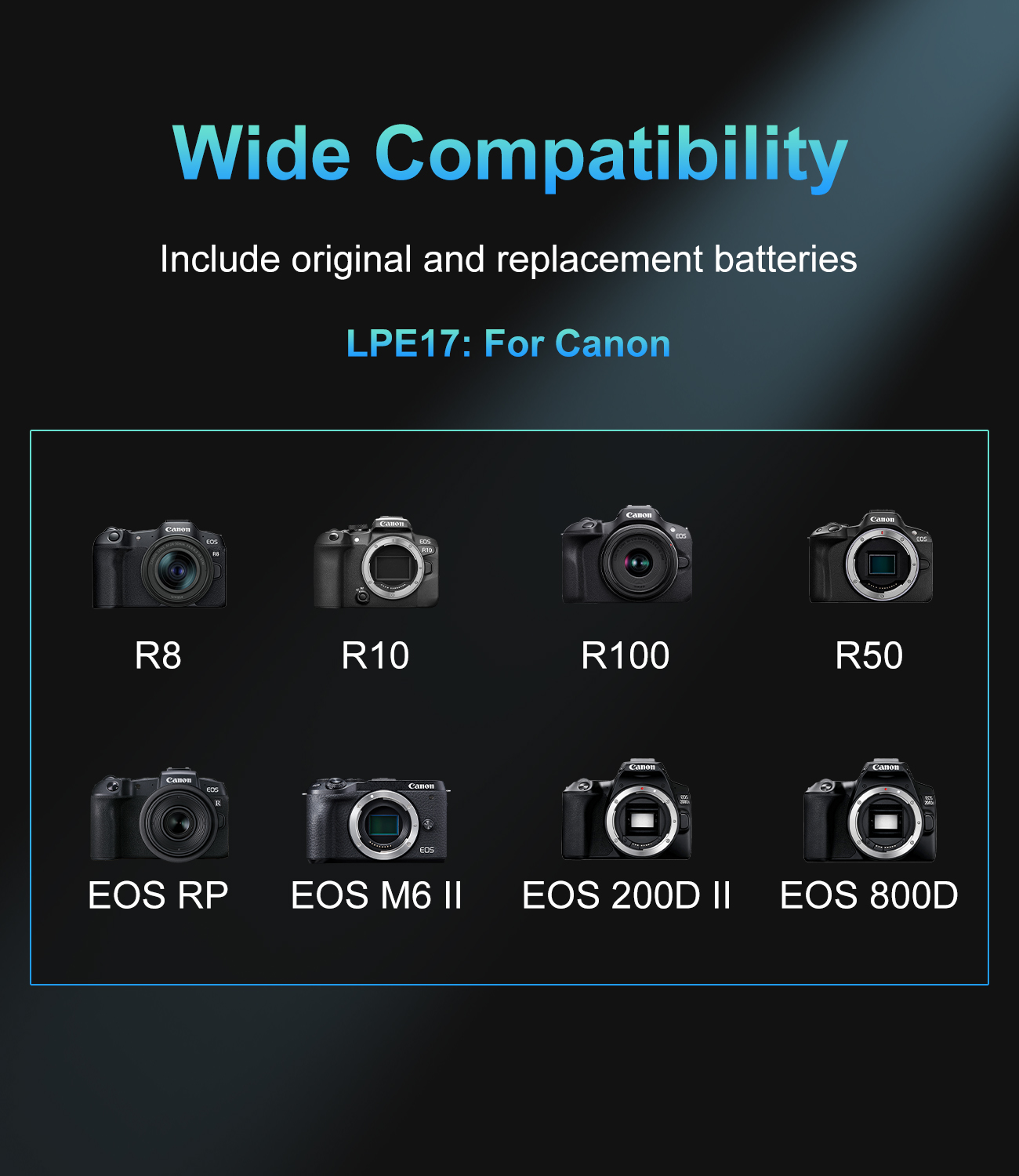 20W USB-C PD Dual Slot Charger - đánh giá và giá Canon Camera Eos R8